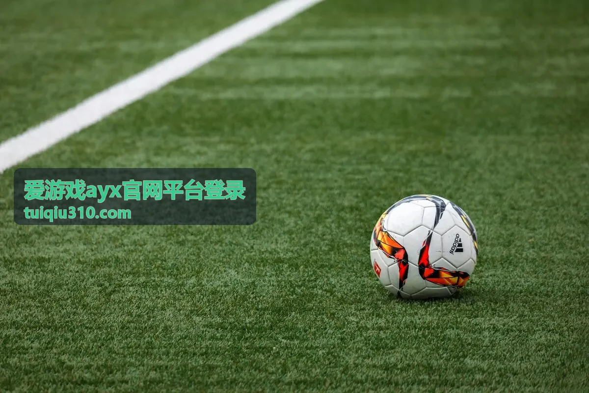爱游戏ayx官网平台登录绑定信息变更流程封面