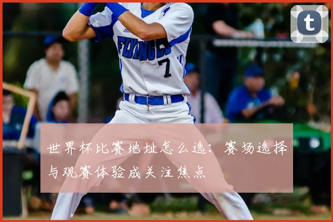 世界杯比赛地址怎么选：赛场选择与观赛体验成关注焦点