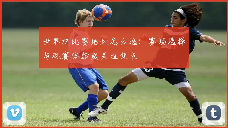 世界杯比赛地址怎么选：赛场选择与观赛体验成关注焦点